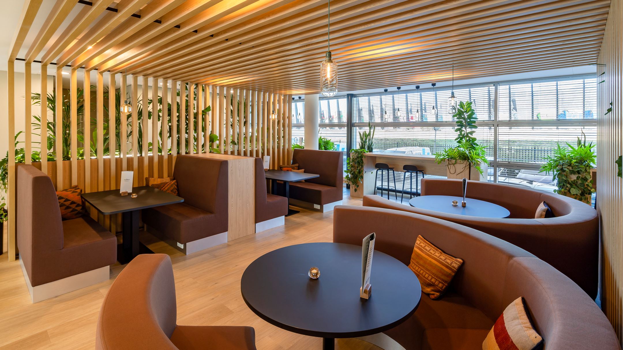 Dr. Holtroplaan Eindhoven co-working rondjes.jpg